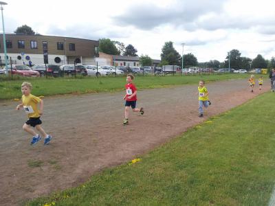 Foto des Albums: Schwedter Polderlauf 14.06.2014