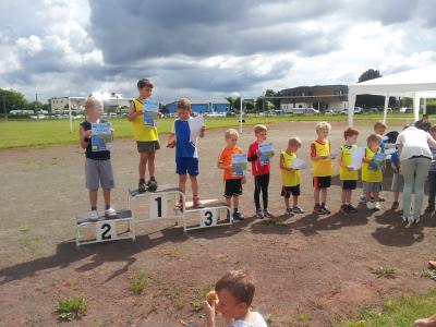 Foto des Albums: Schwedter Polderlauf 14.06.2014