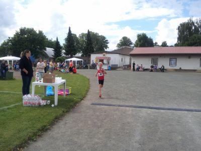 Foto des Albums: Schwedter Polderlauf 14.06.2014