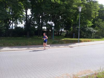 Foto des Albums: Schwedter Polderlauf 14.06.2014