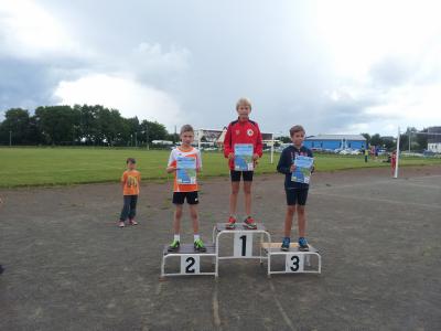 Foto des Albums: Schwedter Polderlauf 14.06.2014