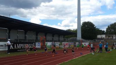 Foto des Albums: Brandenburg, 15.06.2014 (18.​06.​2014)