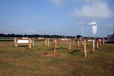 Foto des Albums: Fahrturnier 2010 Weser-Ems-Meisterschaften