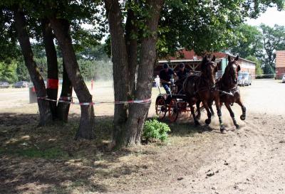 Foto des Albums: Fahrturnier 2010 Weser-Ems-Meisterschaften