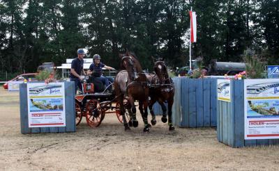 Foto des Albums: Fahrturnier 2010 Weser-Ems-Meisterschaften