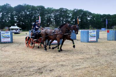 Foto des Albums: Fahrturnier 2010 Weser-Ems-Meisterschaften