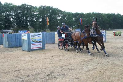 Foto des Albums: Fahrturnier 2010 Weser-Ems-Meisterschaften
