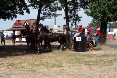 Foto des Albums: Fahrturnier 2010 Weser-Ems-Meisterschaften