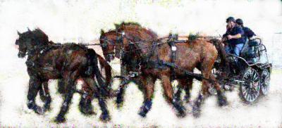 Foto des Albums: Fahrturnier 2010 Weser-Ems-Meisterschaften