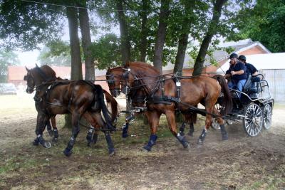 Foto des Albums: Fahrturnier 2010 Weser-Ems-Meisterschaften
