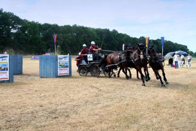 Foto des Albums: Fahrturnier 2010 Weser-Ems-Meisterschaften