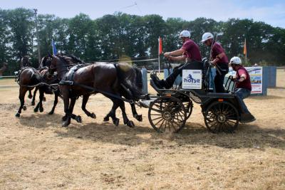 Foto des Albums: Fahrturnier 2010 Weser-Ems-Meisterschaften