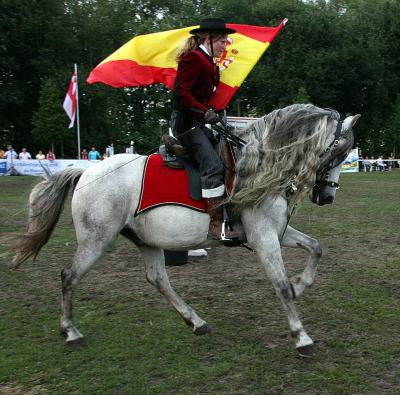 Foto des Albums: Reitturnier 2011