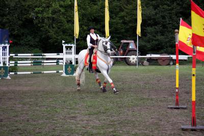 Foto des Albums: Reitturnier 2011