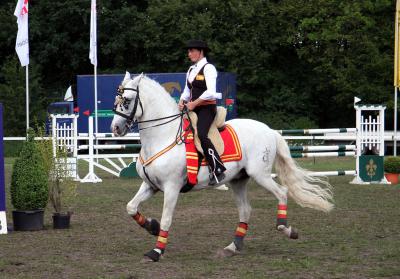 Foto des Albums: Reitturnier 2011