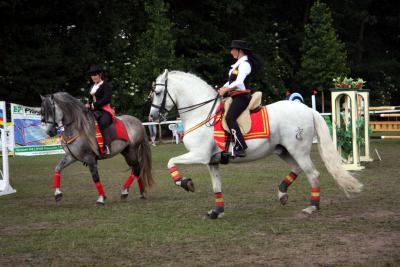Foto des Albums: Reitturnier 2011