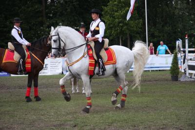 Foto des Albums: Reitturnier 2011