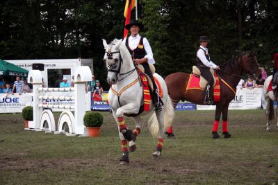 Foto des Albums: Reitturnier 2011