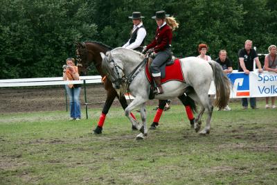Foto des Albums: Reitturnier 2011