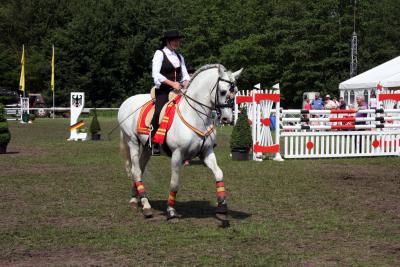 Foto des Albums: Reitturnier 2011