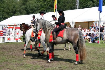 Foto des Albums: Reitturnier 2011