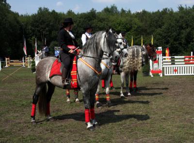 Foto des Albums: Reitturnier 2011