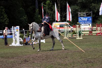 Foto des Albums: Reitturnier 2011