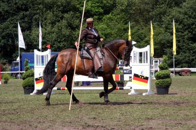 Foto des Albums: Reitturnier 2011