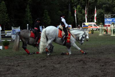 Foto des Albums: Reitturnier 2011