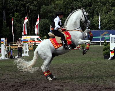 Foto des Albums: Reitturnier 2011
