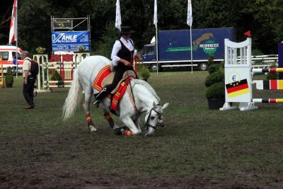 Foto des Albums: Reitturnier 2011