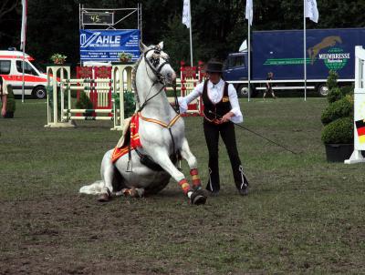 Foto des Albums: Reitturnier 2011