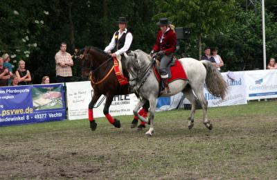 Foto des Albums: Reitturnier 2011