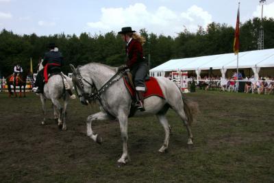 Foto des Albums: Reitturnier 2011