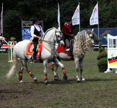 Foto des Albums: Reitturnier 2011