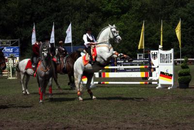 Foto des Albums: Reitturnier 2011