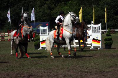 Foto des Albums: Reitturnier 2011