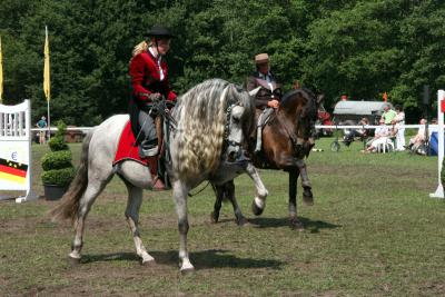 Foto des Albums: Reitturnier 2011