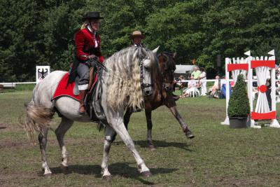 Foto des Albums: Reitturnier 2011