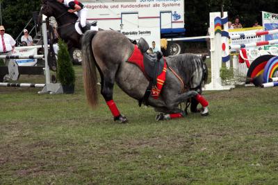 Foto des Albums: Reitturnier 2011