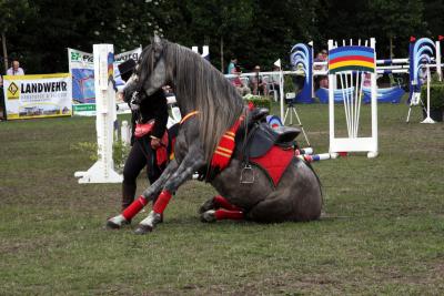 Foto des Albums: Reitturnier 2011