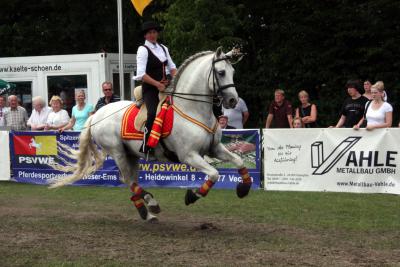 Foto des Albums: Reitturnier 2011