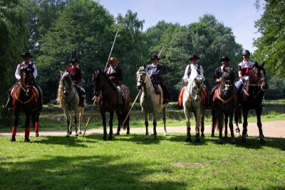 Foto des Albums: Reitturnier 2011