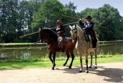 Foto des Albums: Reitturnier 2011