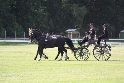 Foto des Albums: Fahrtunier 2012