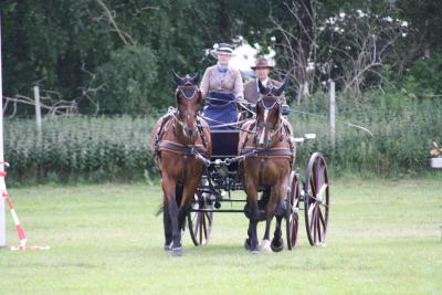 Foto des Albums: Fahrtunier 2012