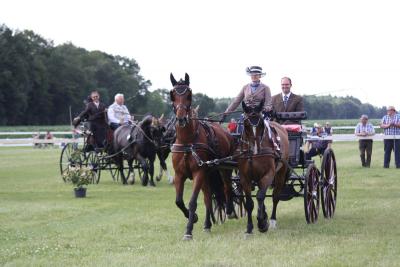 Foto des Albums: Fahrtunier 2012