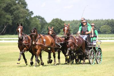 Foto des Albums: Fahrtunier 2012