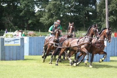 Foto des Albums: Fahrtunier 2012