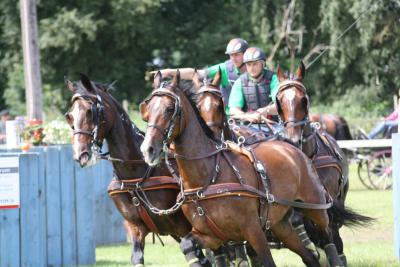 Foto des Albums: Fahrtunier 2012
